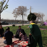 تصویر گالری