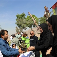 تصویر گالری